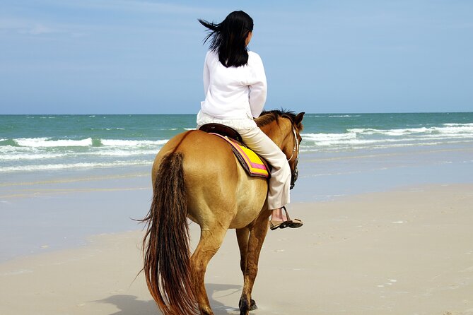 Alanya Private Horse Riding Tour On the Beach