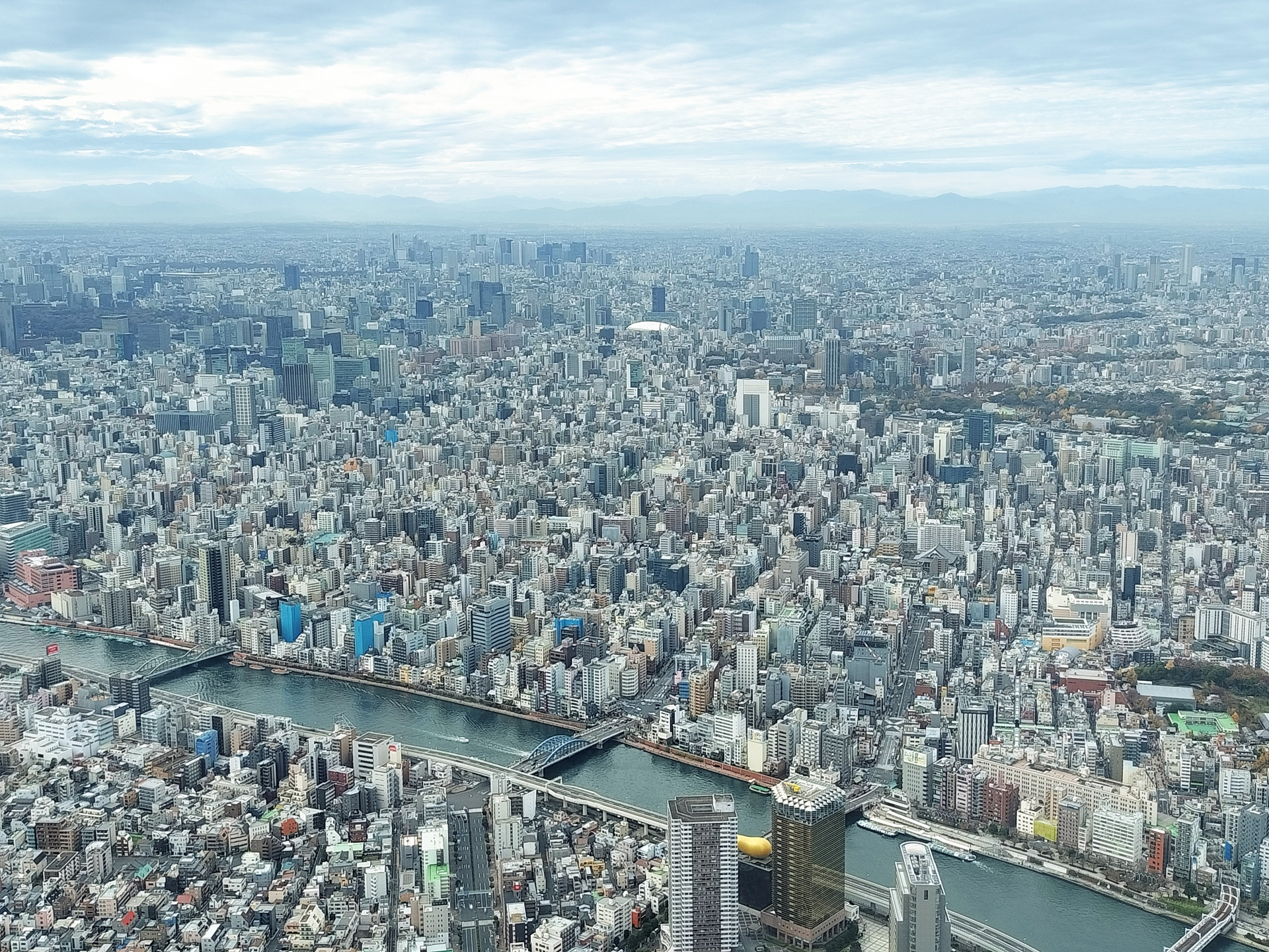 There is a fantastic observation deck that offers a stunning panoramic view of Tokyo. It might be a bit scary for those with a fear of heights.