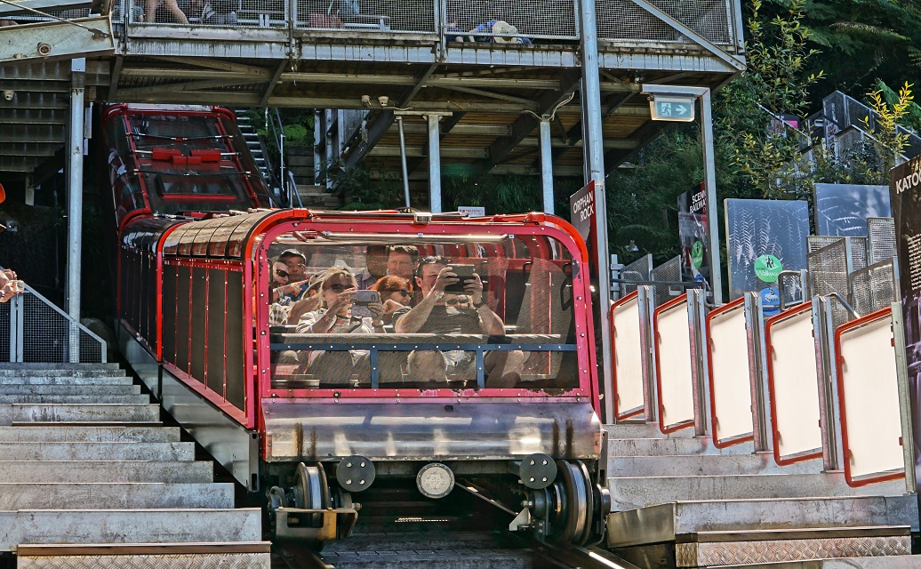 scenic world