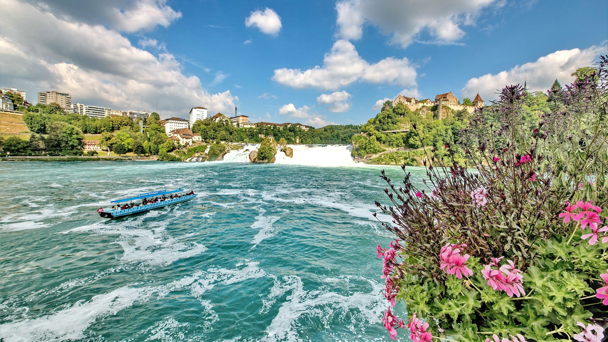 Rhine Falls tour from Zurich