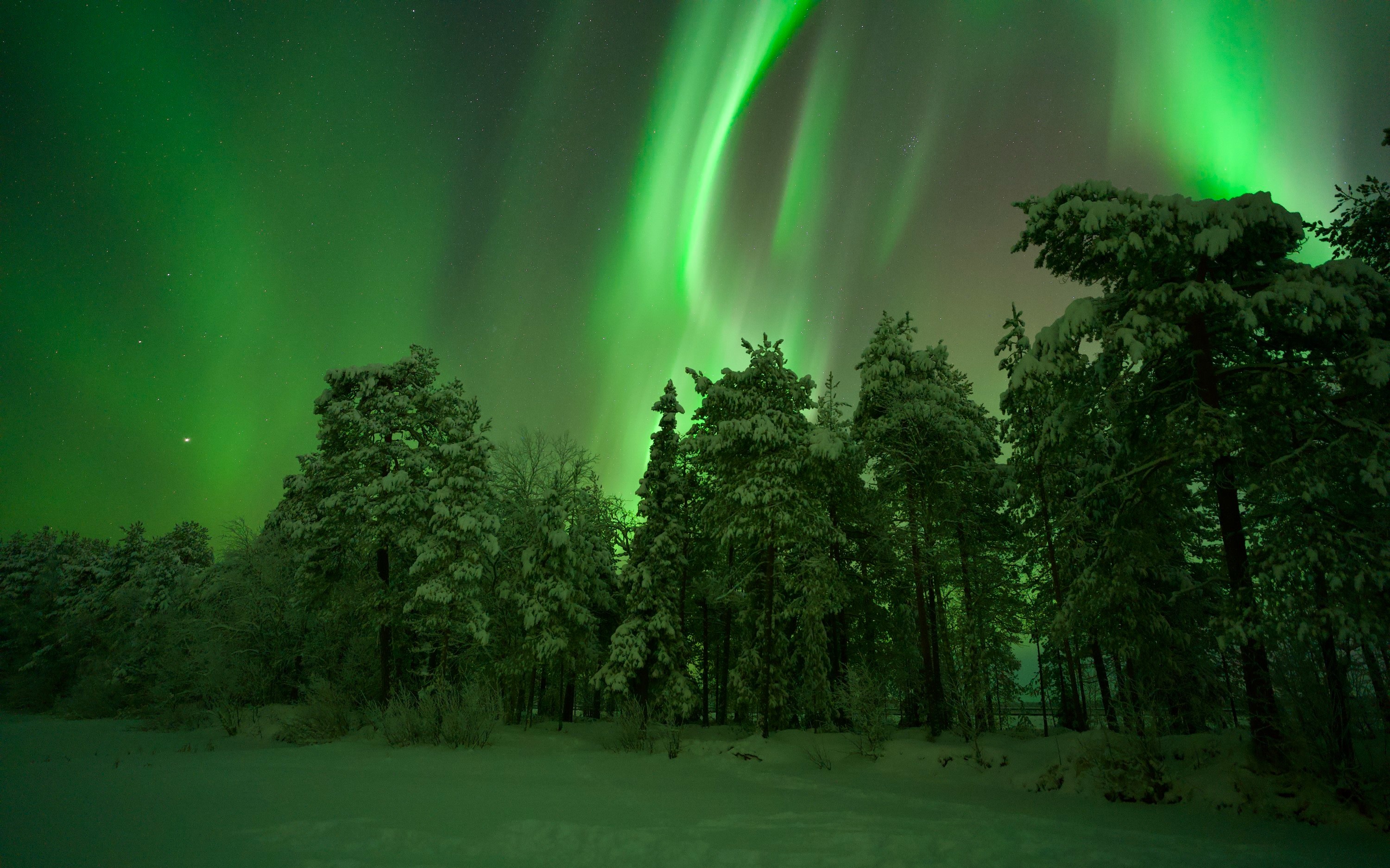 Private Aurora Hunting Tour With Photography Options