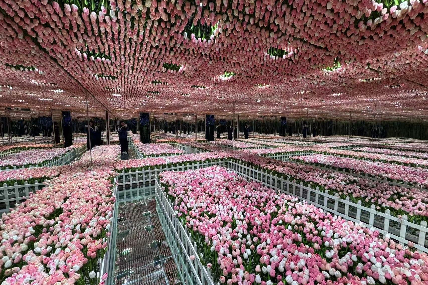 星空屋，燈光 blingbling 的，且會慢慢改變顏色，還有一些房間通過鏡面反射等原理，營造出奇幻的視覺效果，如星光點點經過鏡面交叉反射從四面八方湧來的星空屋，彷彿置身銀河系