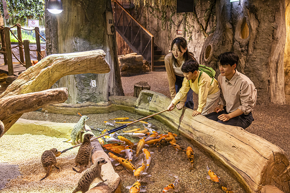 Gyeonggi Hanam Zoolung Zoolung Indoor Animal Theme Park Ticket