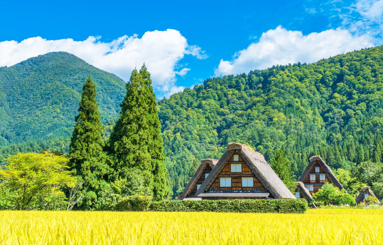 飛驒高山&白川鄉合掌村落&宮川朝市&古街漫步