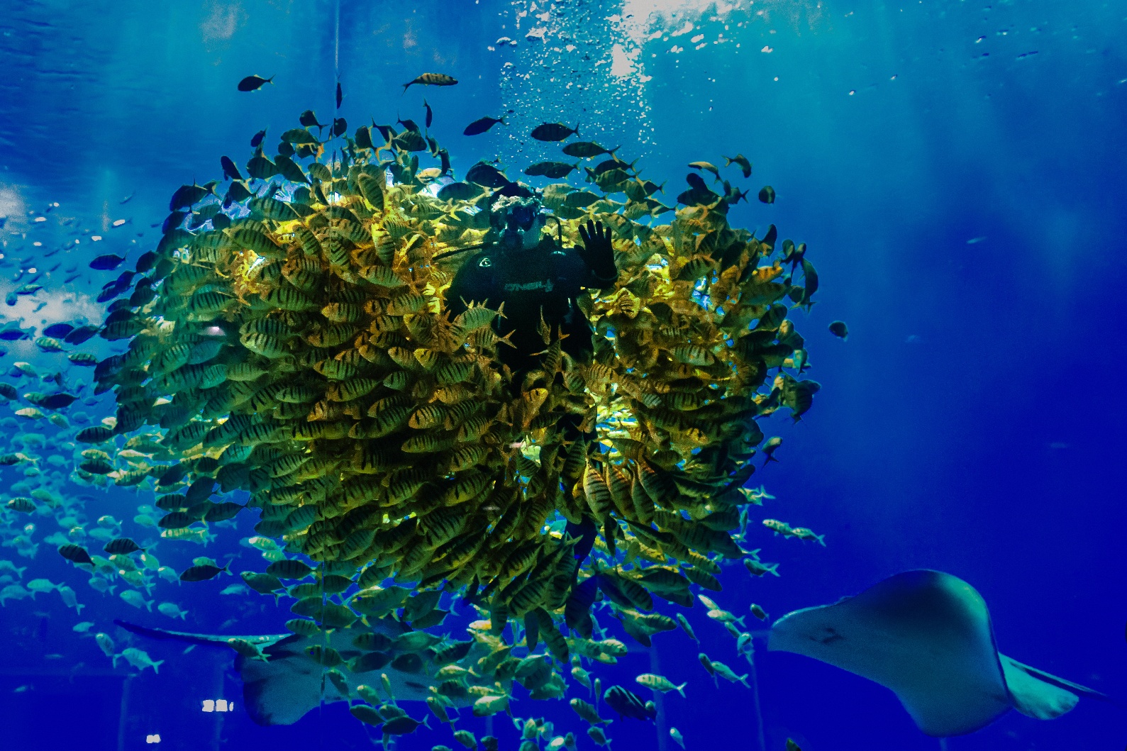 Nanning Polar Ocean World