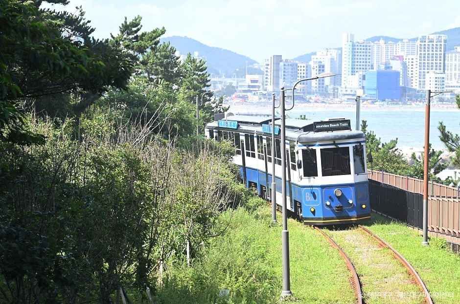 太宗臺繡球花 / 松島海上纜車 / 甘川洞 / 廣安裡之旅