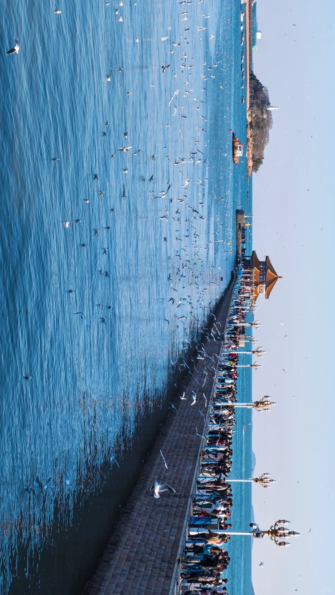 青島棧橋，又稱前海棧橋，位於青島灣內，始建於青島建置初，最初為軍用碼頭。1930年代初經過改建，增建橋頭的二層樓閣——回瀾閣，自此成為青島的一個重要景點，並逐漸成為老青島的象徵