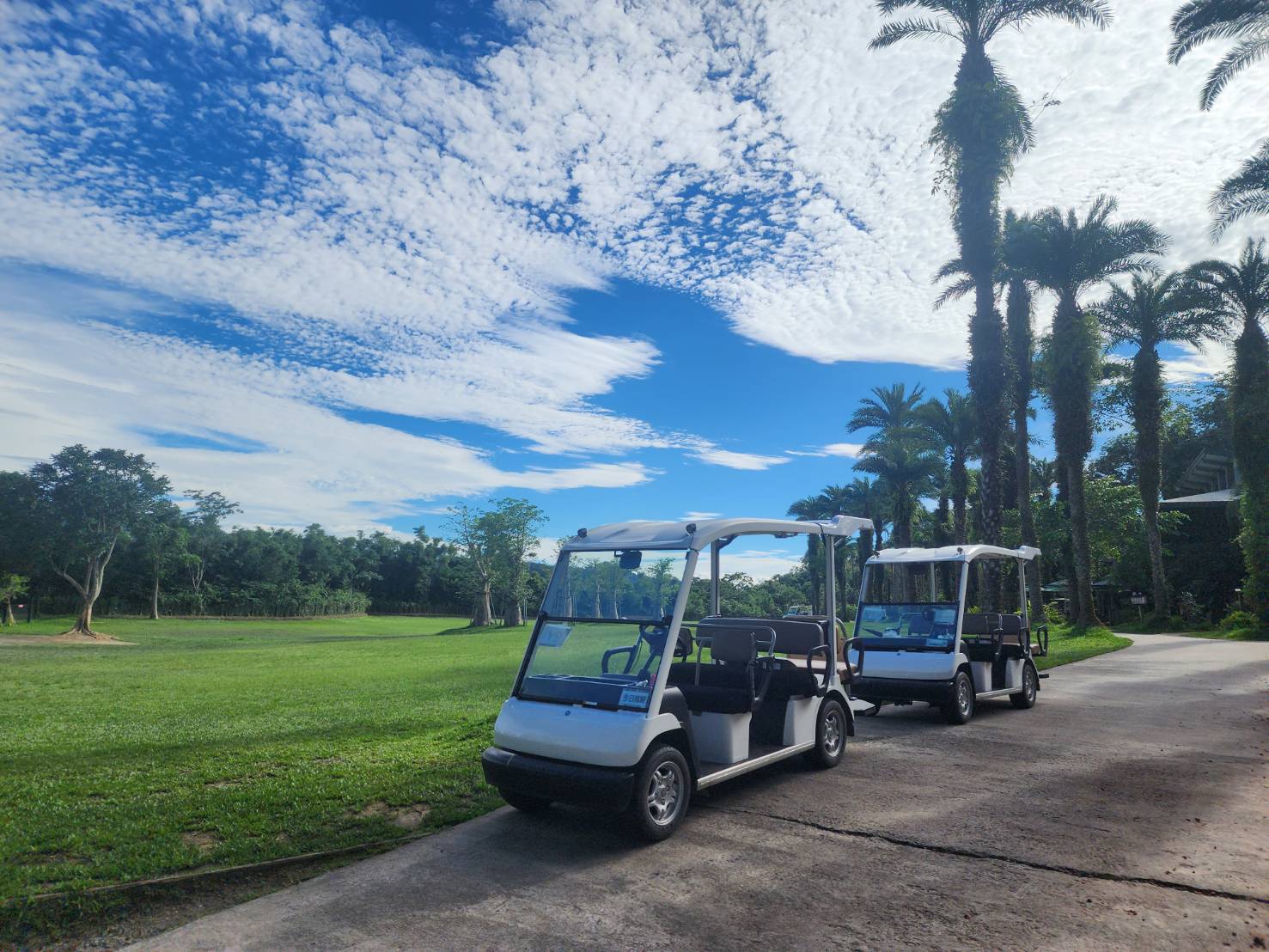 One-time ride on the park tour car