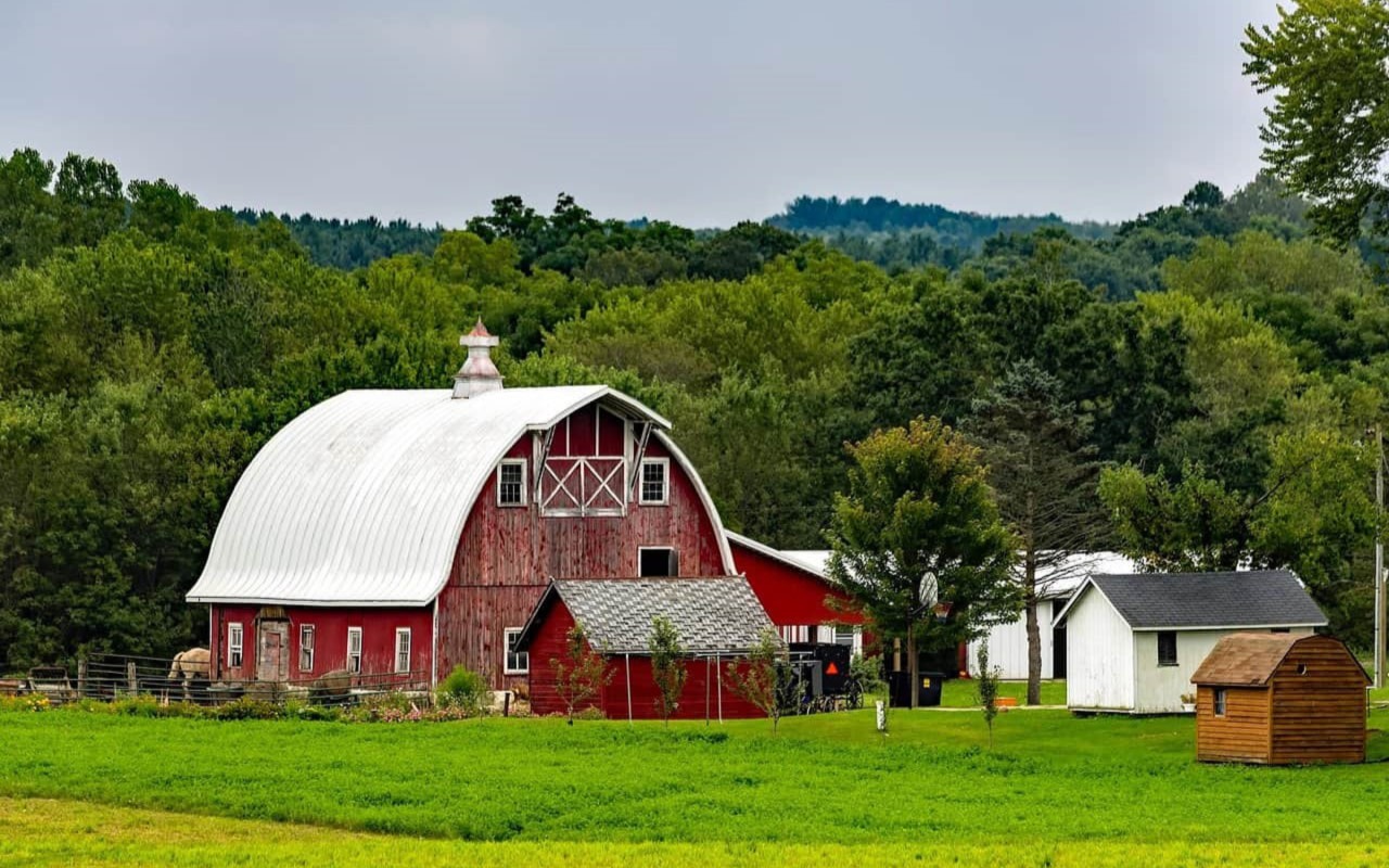 Lancaster Amish Village and Bird-in-Hand Market Day Tour