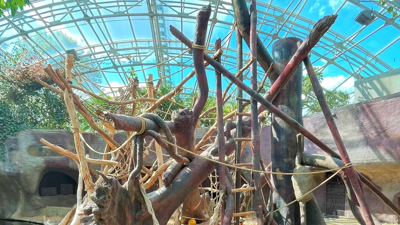 布拉格動物園 (Prague Zoo) 門票