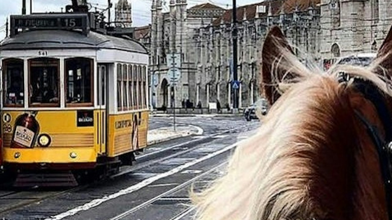 貝倫區馬車之旅