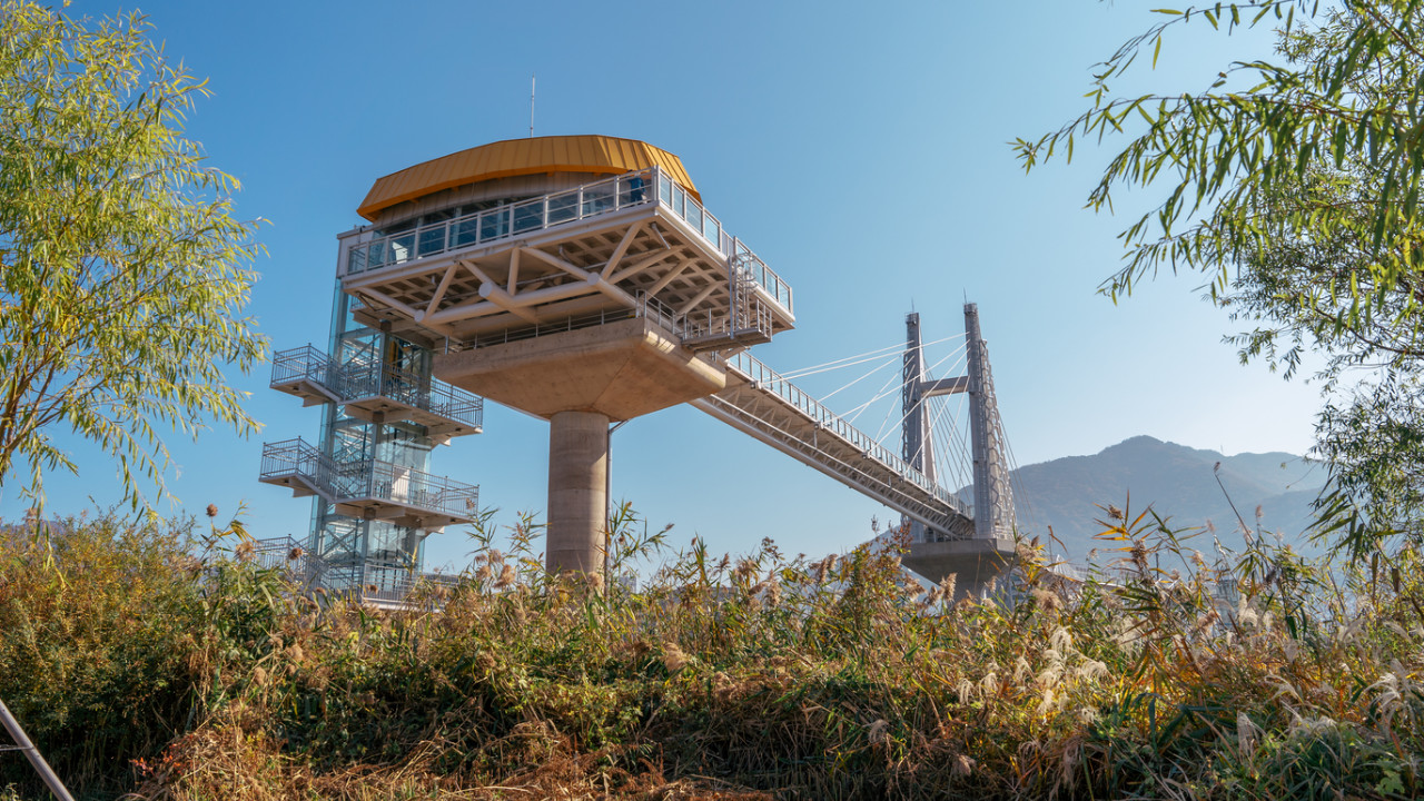 Busan Local Market & Riverside Park Full-Day Small Group Tour