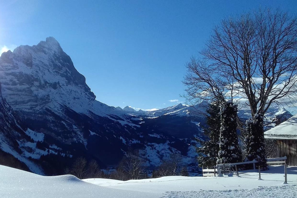 Wetterhorn Grindelwald Snowshoe Tour from Interlaken