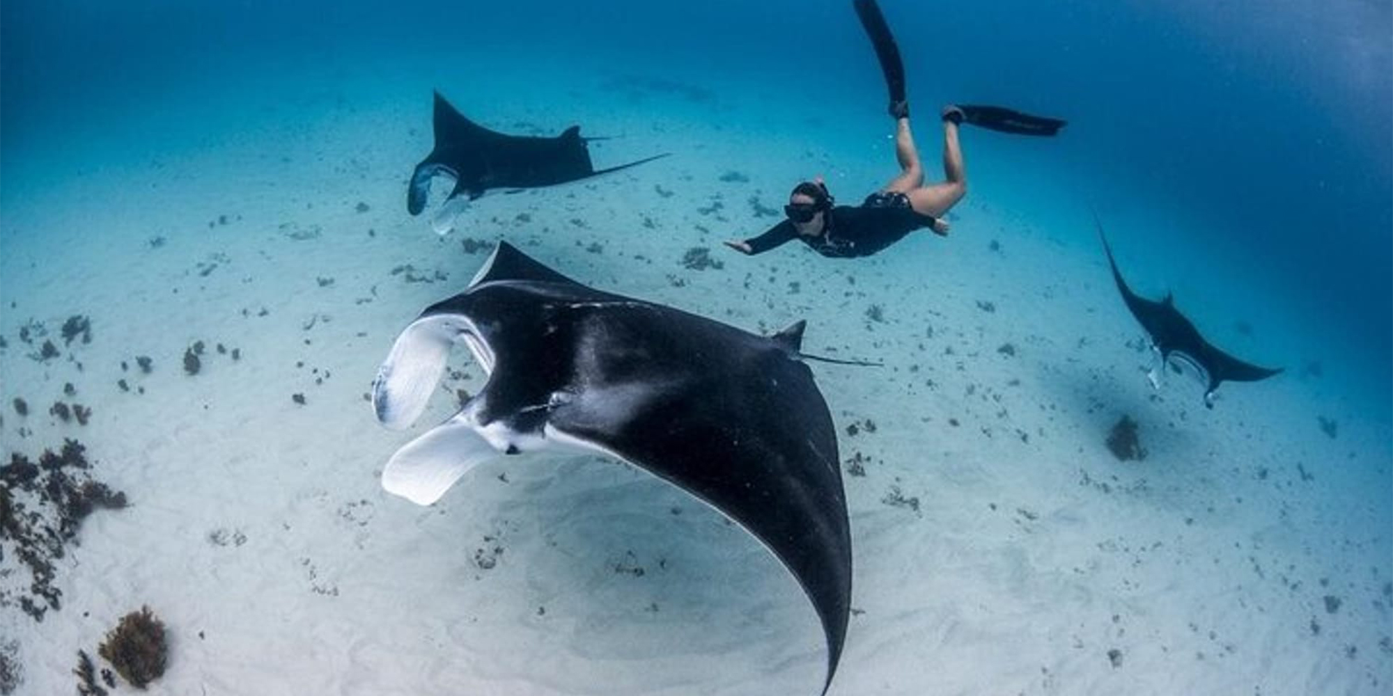 Snorkeling Experience in Nusa Penida (3-4 Snorkeling Spots)