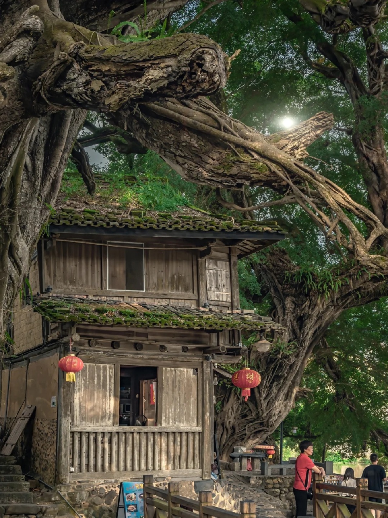 福建雲水謠高端1日遊(和貴樓+雲水謠古鎮+懷遠樓+贈送參觀土樓博物館鍾興樓+電影大魚海棠取景地+網紅特色客家餐+歷史文化古村+廈門往返）