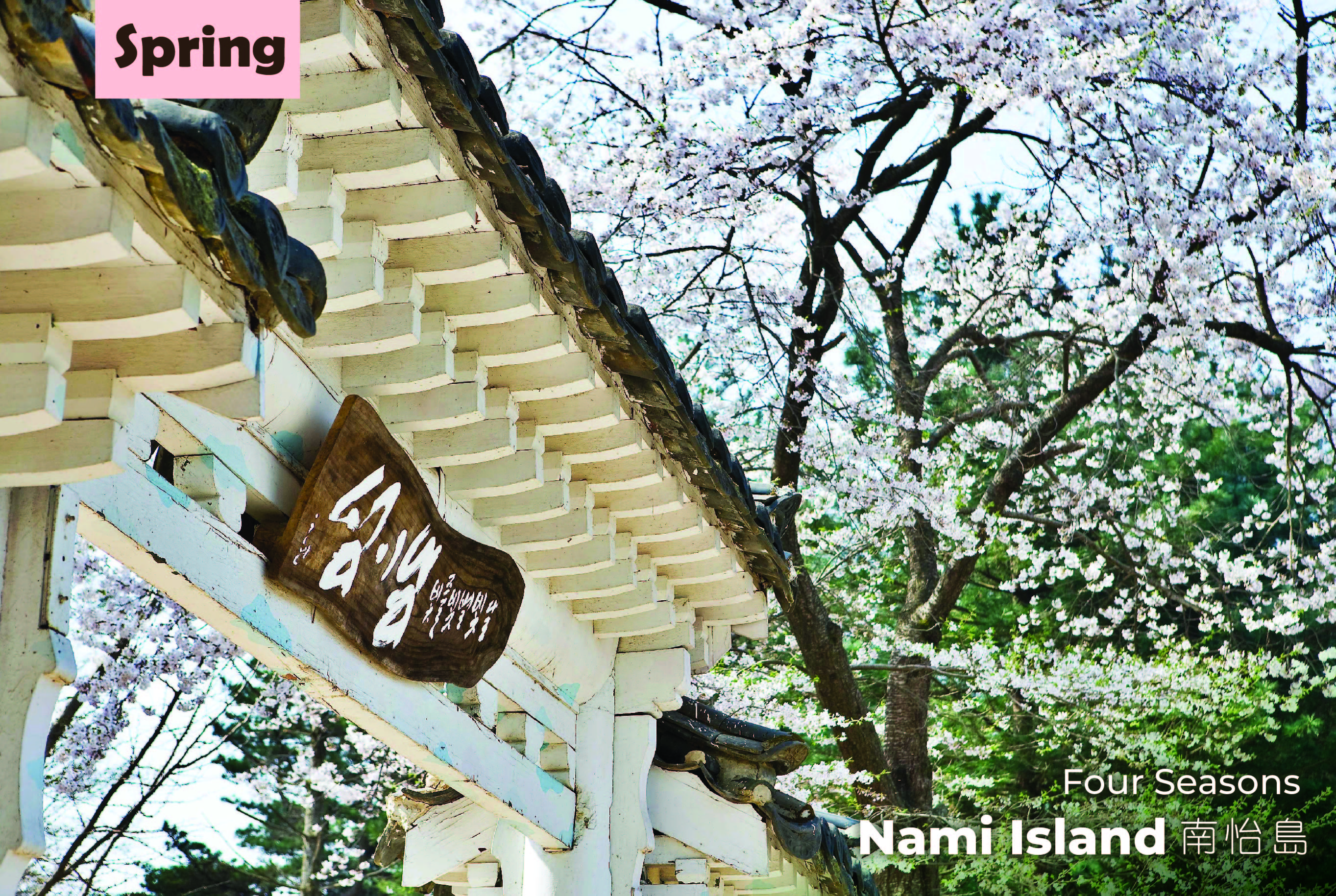 Nami Island & Happy Panorama Field & Morning Calm & Railbike