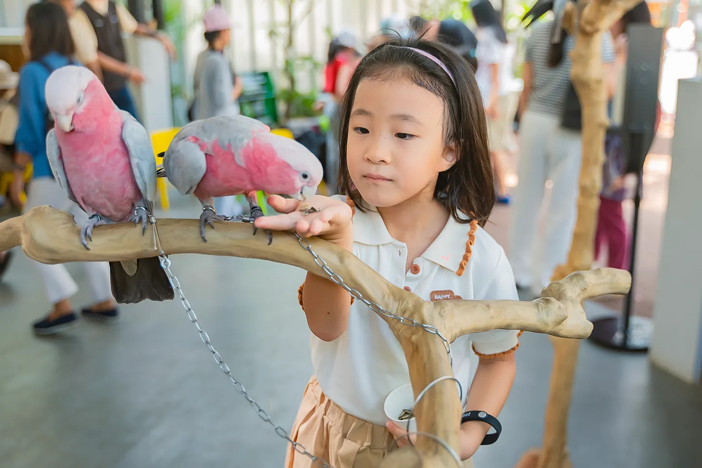 在雅加達SCBD棲息地公園與色彩繽紛的鸚鵡相見歡！