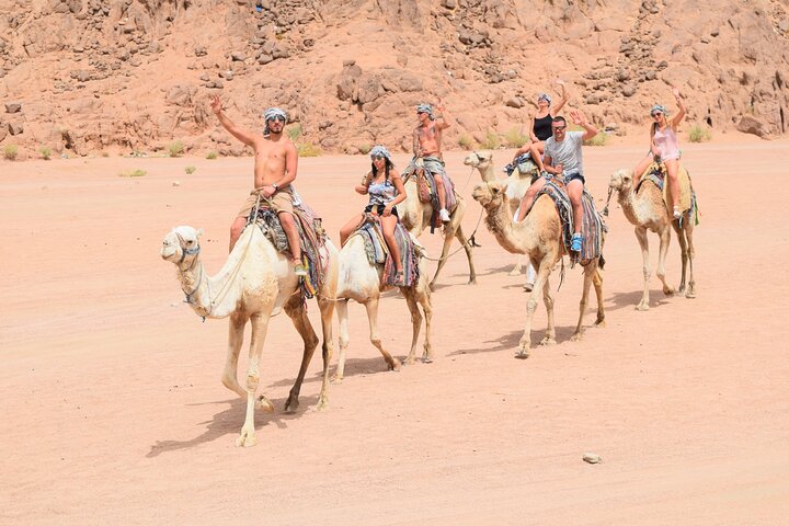 超級沙漠歷險記：從胡爾加達出發 (Mega Safari Adventure: A Desert Journey from Hurghada)
