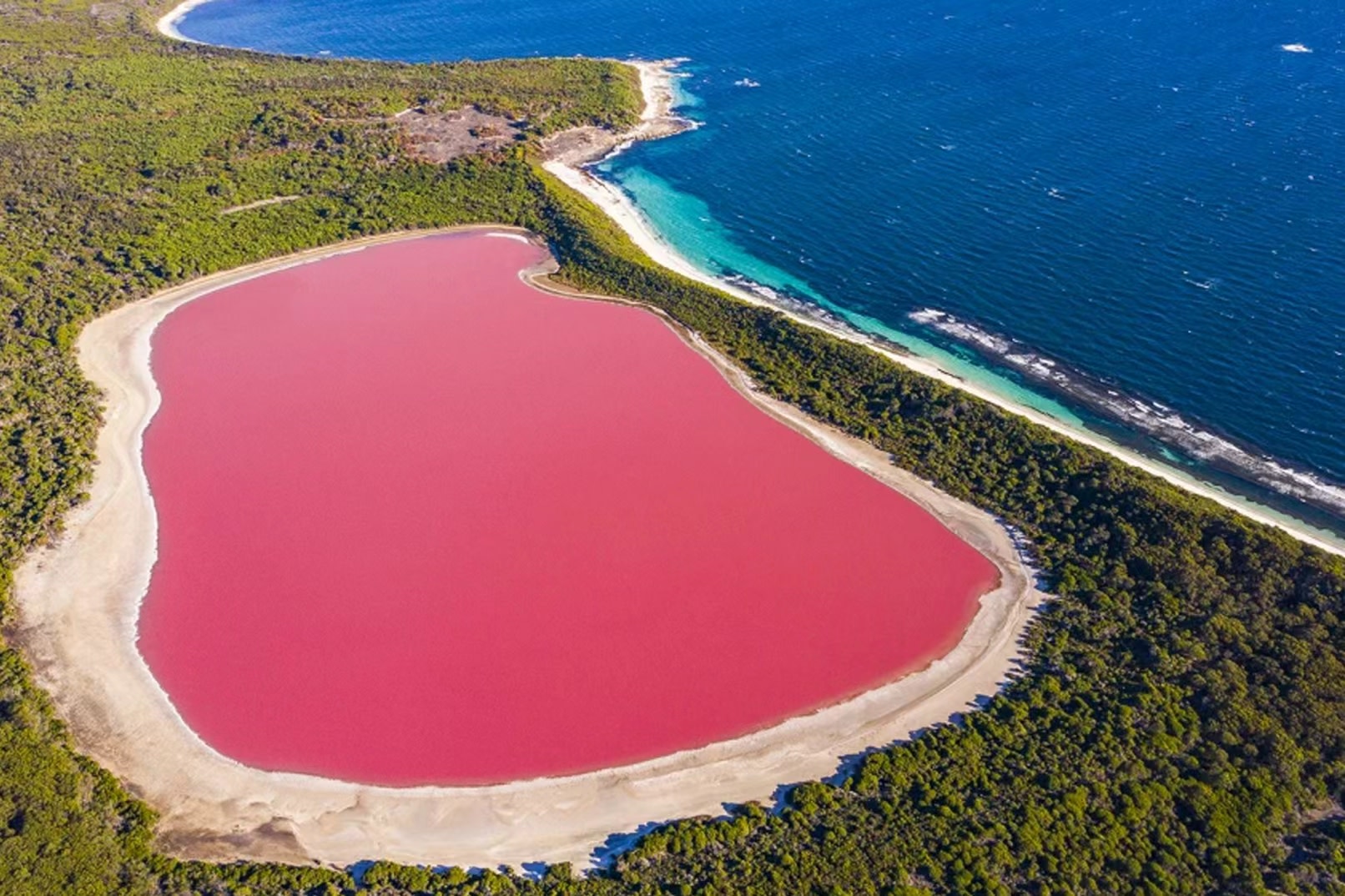Perth Pink Lake Western Australia Scenic Multi-Day Tour (Chinese Guided Tour/Pinnacles & Geraldton & Jurien Bay & White Sand Dunes)