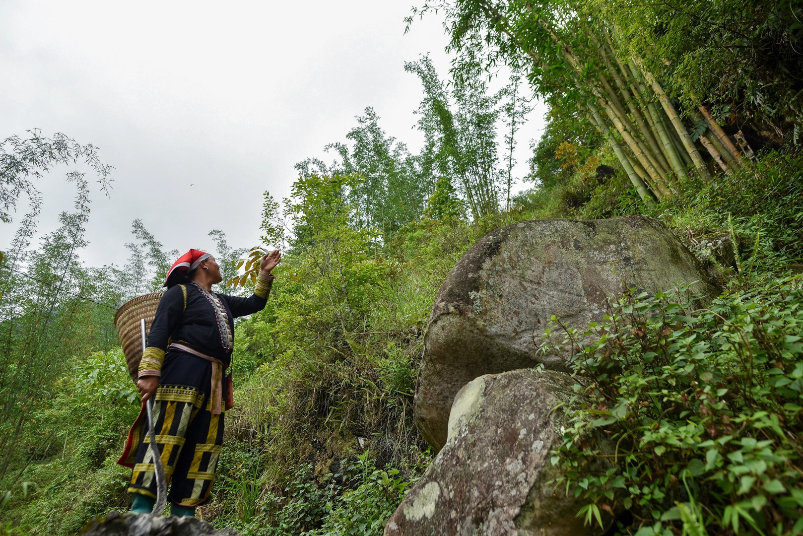 沙巴：紅瑤族草藥足浴和採葉之旅