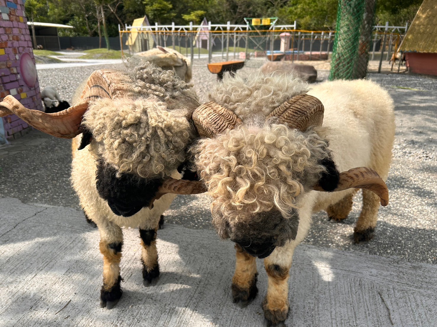 長埤湖精霊村 入場チケット（宜蘭）