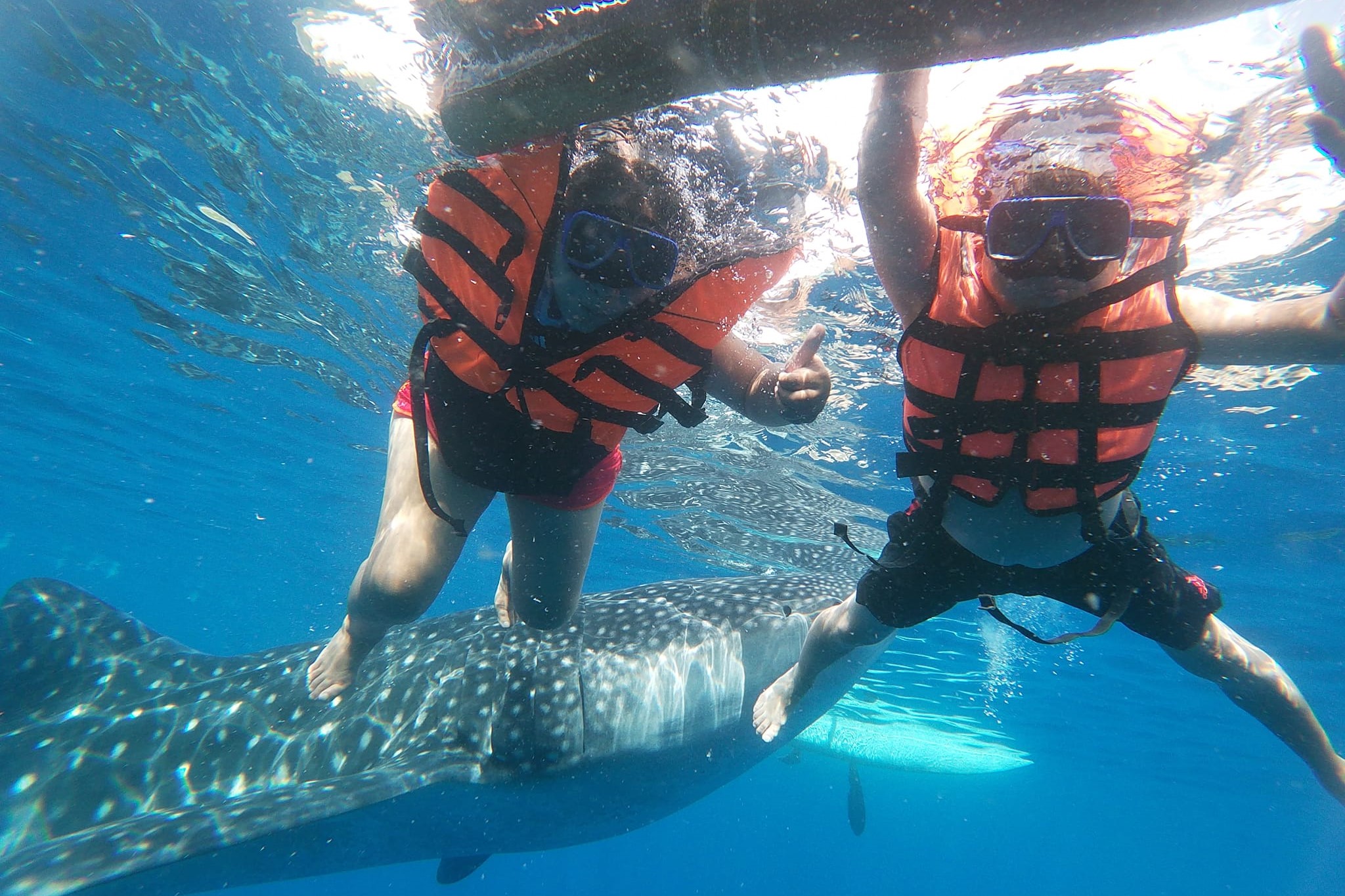 Oslob Whale Shark Watching with Ka Treasure Water Terraces in Cebu