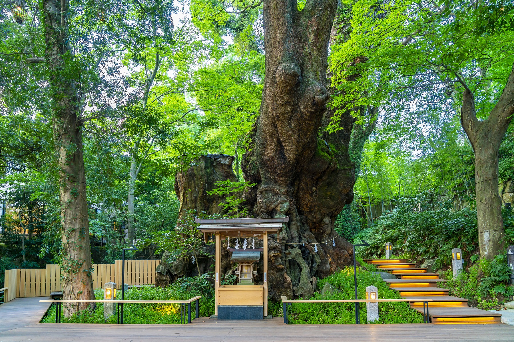 伊豆半島: 大室山 & 城崎海岸 & 伊豆全景公園 & 小室山 & 來宮神社 & 富士山絕景攝影地2日遊 (入住伊豆溫泉飯店)