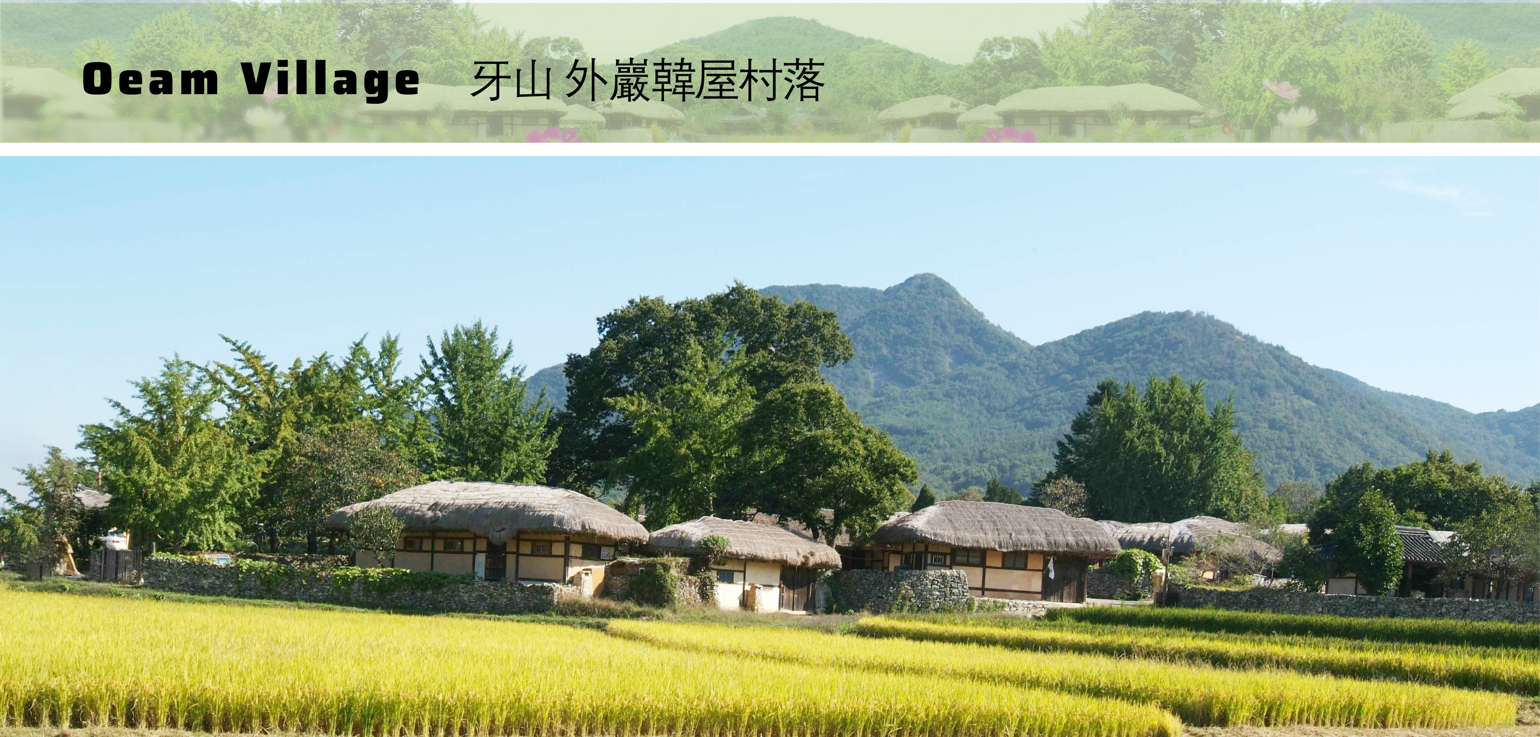 Traditional thatched-roof homes and wild blooms frame the daily rhythm of a village that has preserved its heritage for over 500 years.