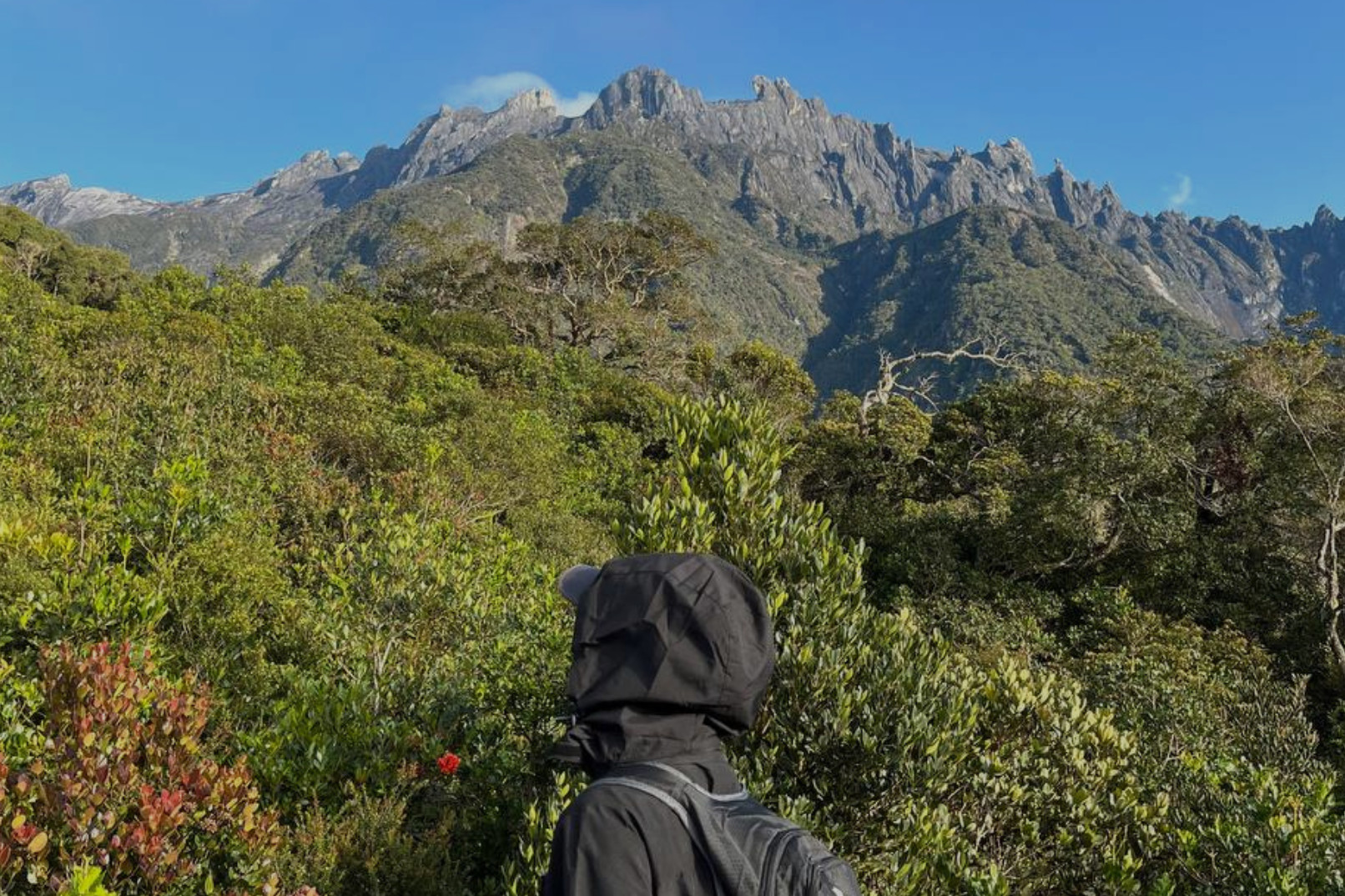 Maragang Hill Crocker Range Day Hike from Kota Kinabalu
