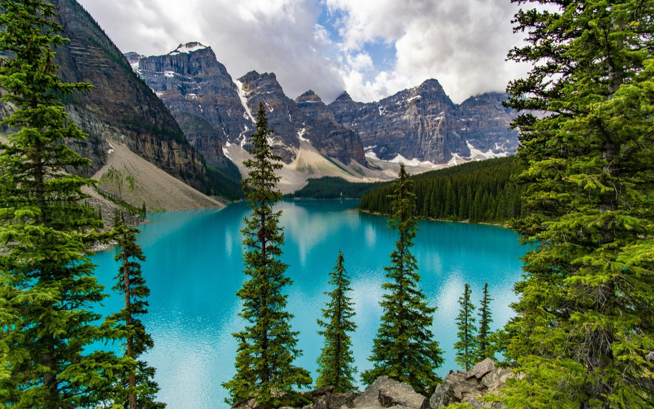 Moraine Lake and Lake Louise Half-Day Bus Tour 