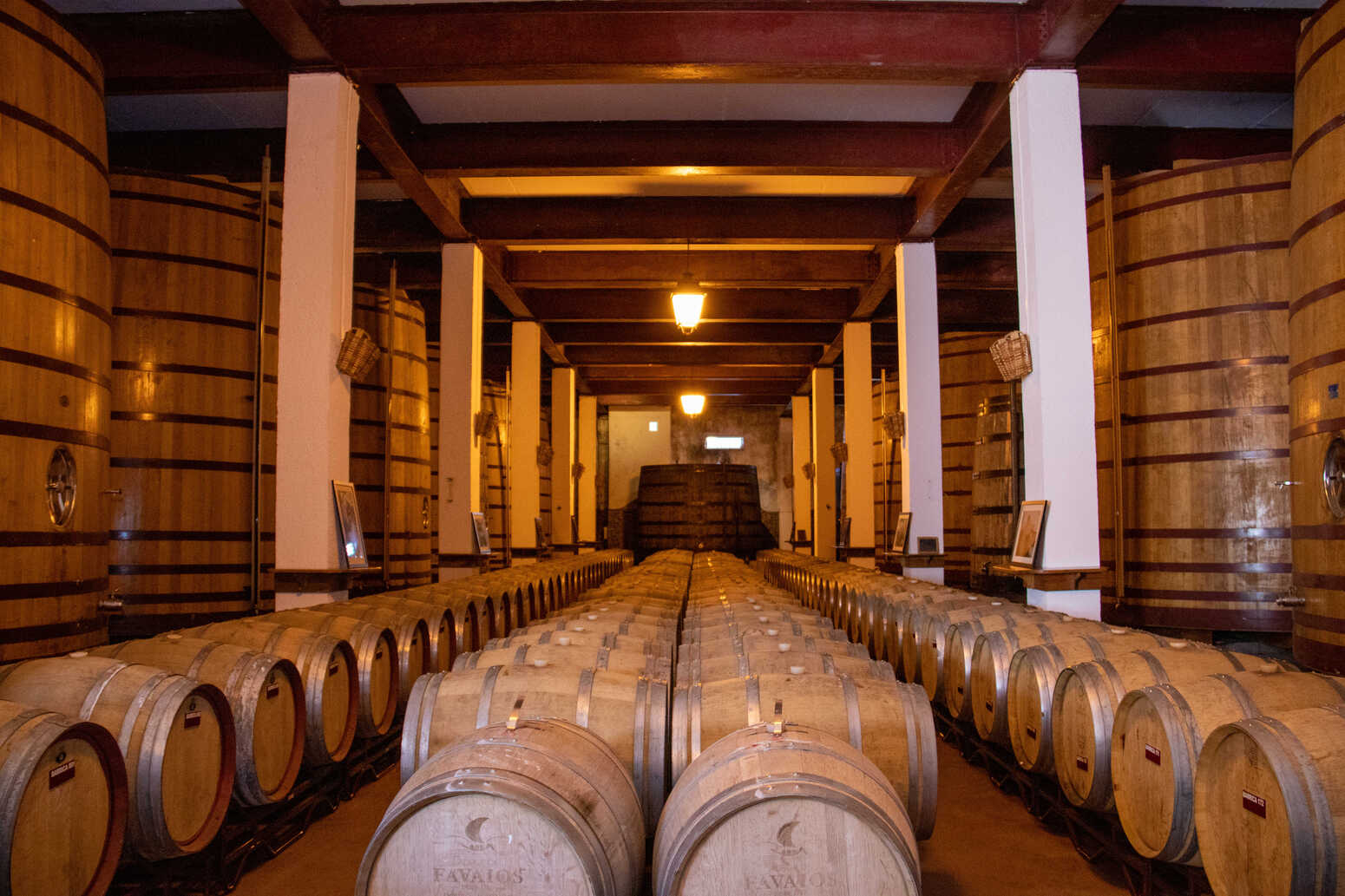 Douro Valley Wine & History Tour with Cruise & Lunch