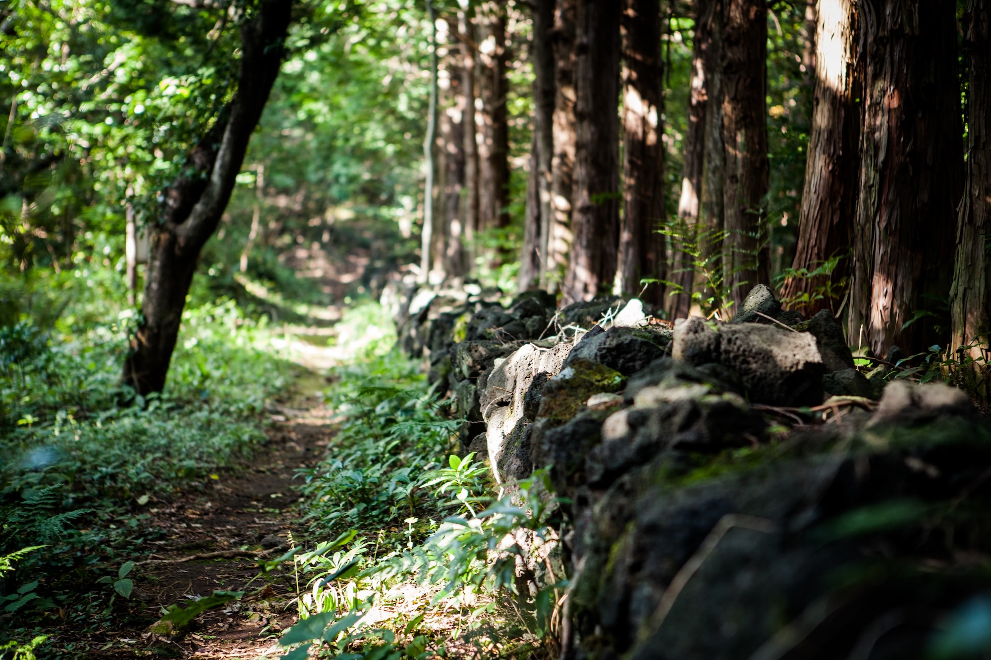 Harye-ri Full-Day Customizable Hidden Gems Tour