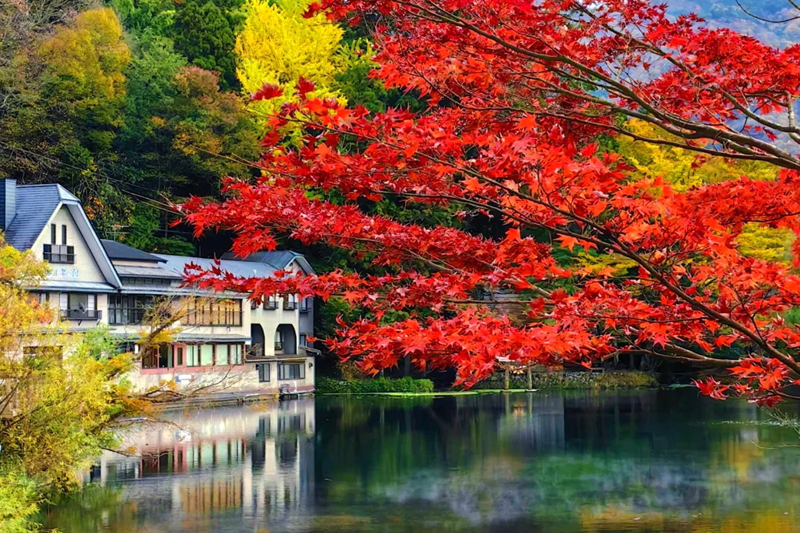 Nyoirin-ji Temple & Yufuin & Umi Jigoku & Kamado Jigoku One Day Tour (Korean Guide/Departure from Fukuoka)