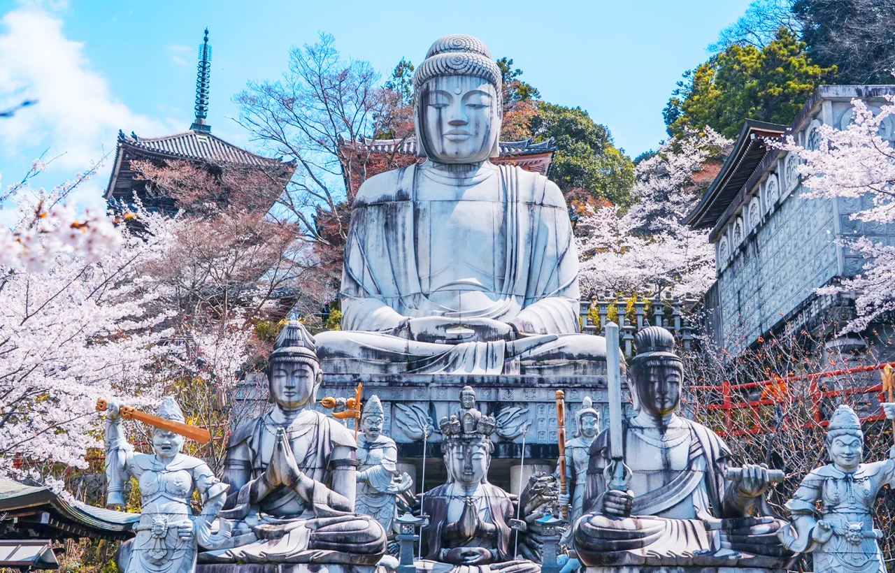 壺阪寺（南法華寺），離開市區前往高取町的山腰。這裡有一尊高達15公尺的“櫻花大佛”。上千株櫻花環繞著大佛，莊嚴中帶著柔美