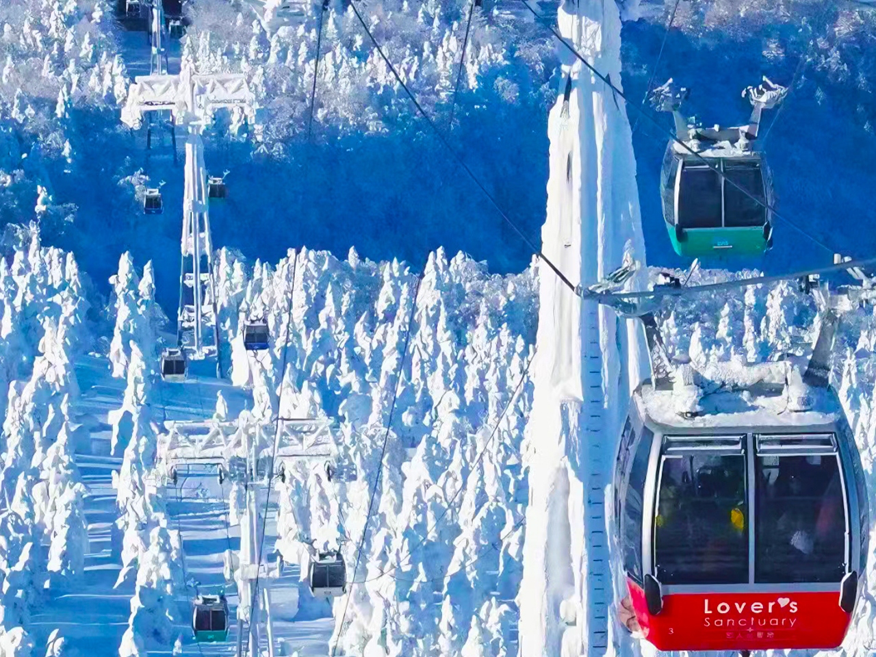 蔵王纜觀賞雪景 蔵王纜觀賞雪景