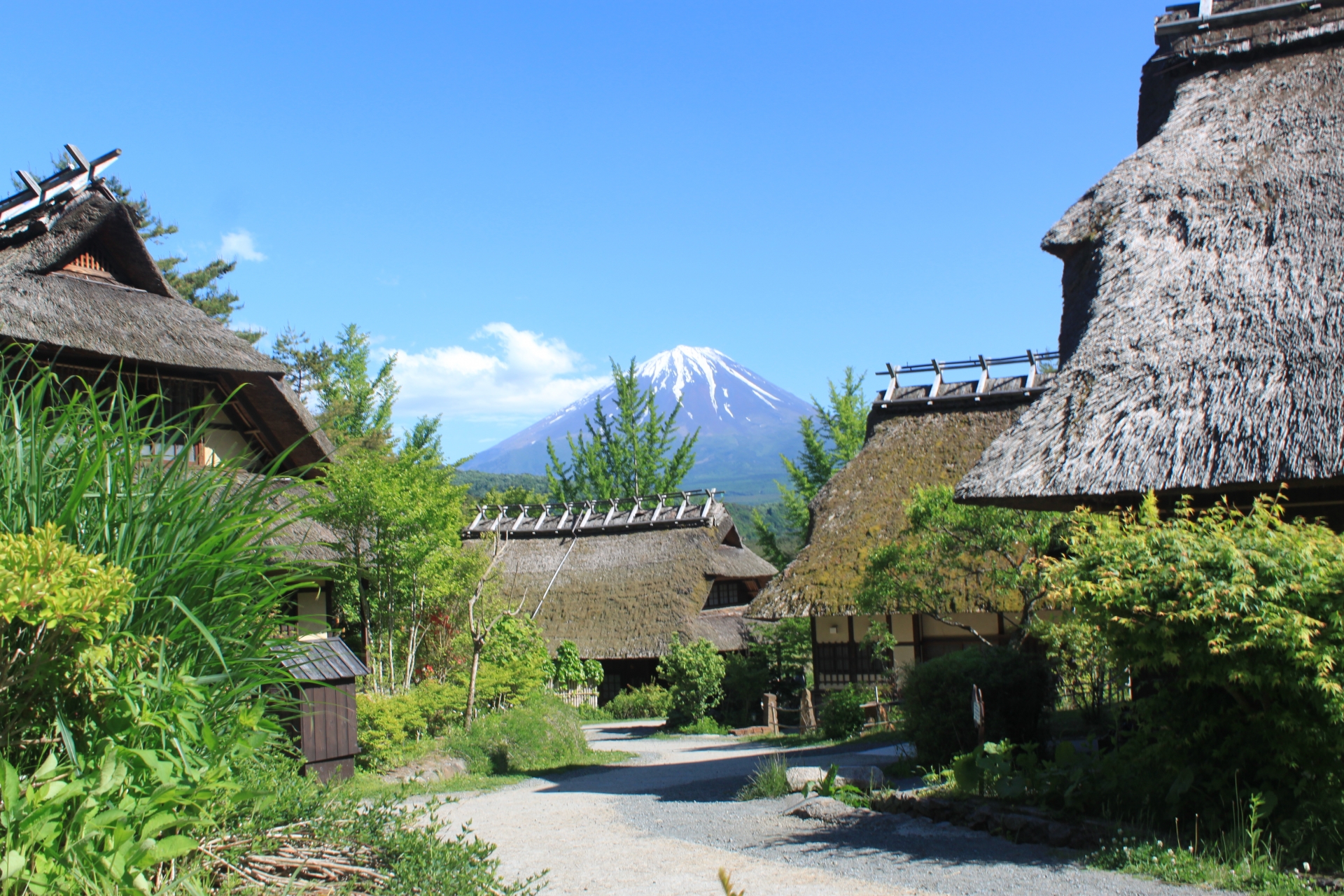 高級版富士山河口湖絕景一日遊！坐豪華巴士巡遊多個拍攝點，從不同角度欣賞令人震撼的富士山美景！包含神戶牛涮涮鍋（品川/新宿出發）