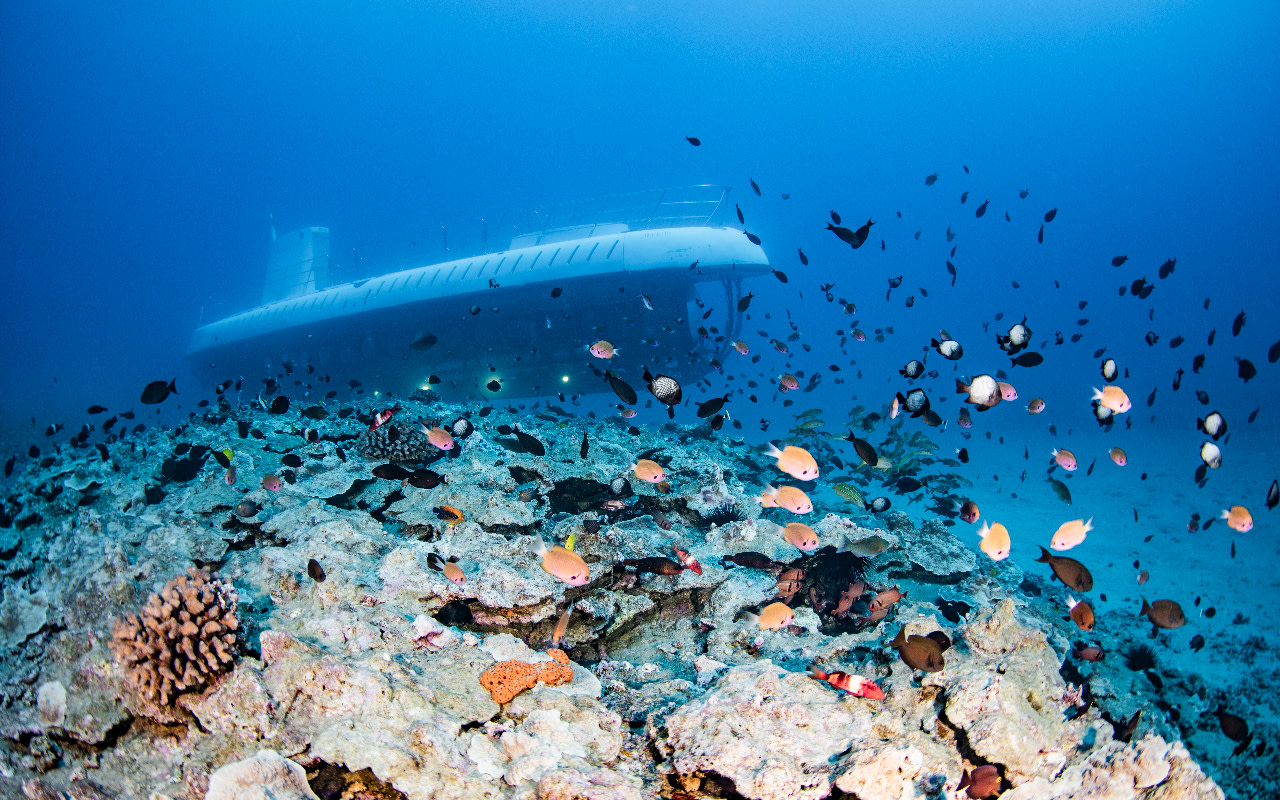 Опыт подводной лодки Atlantis на Мауи