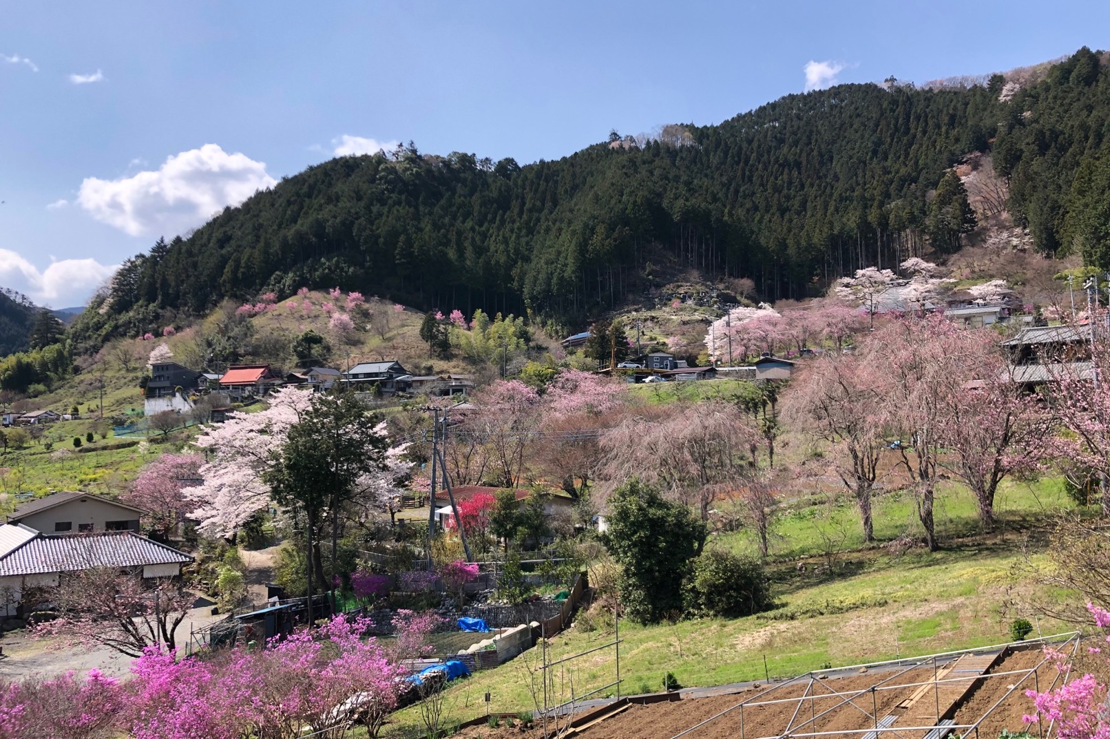 東京：騎行和溪降探險