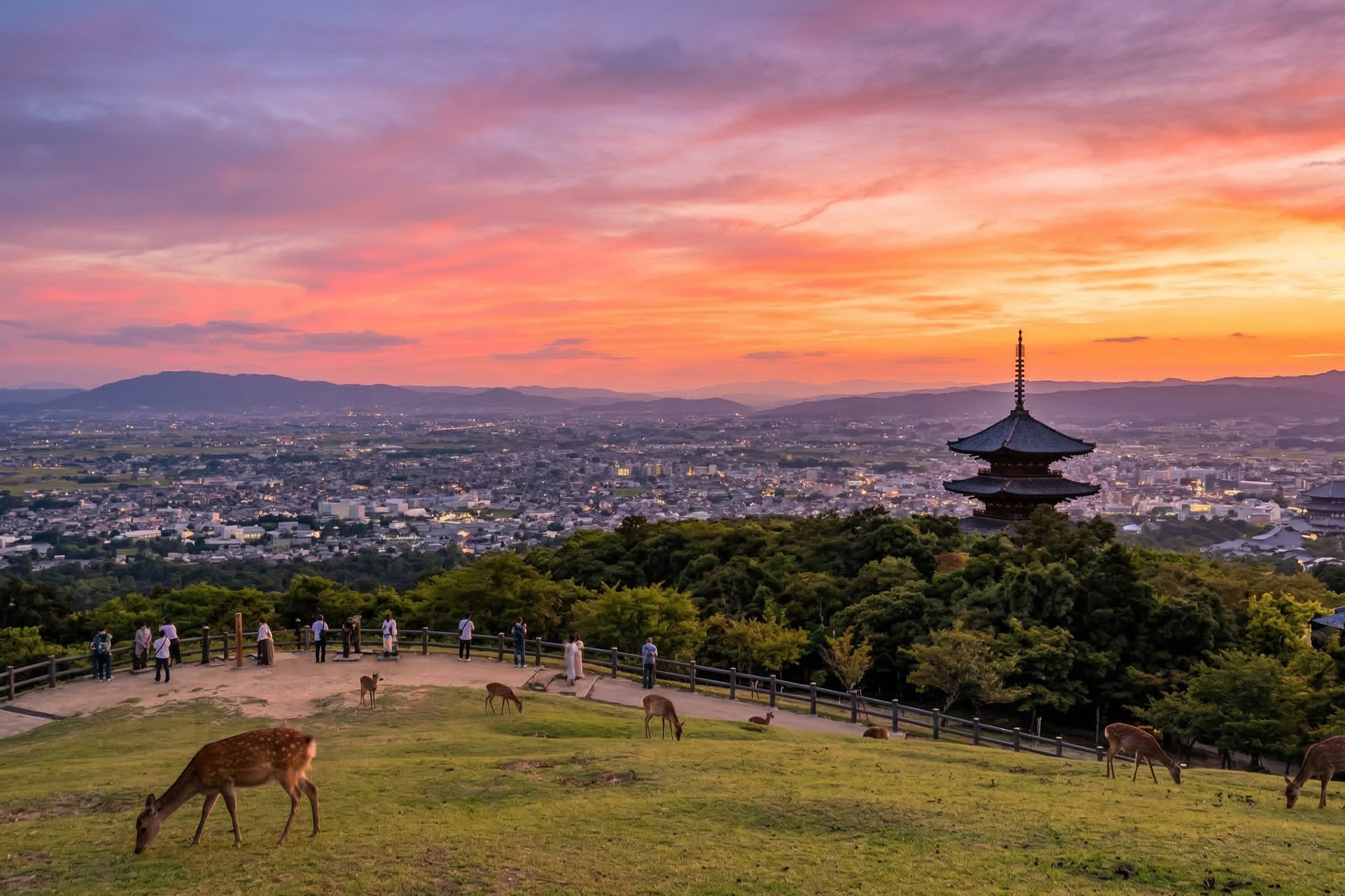 Professional Photography in Nara Park: Magical Moments with Sacred Deer