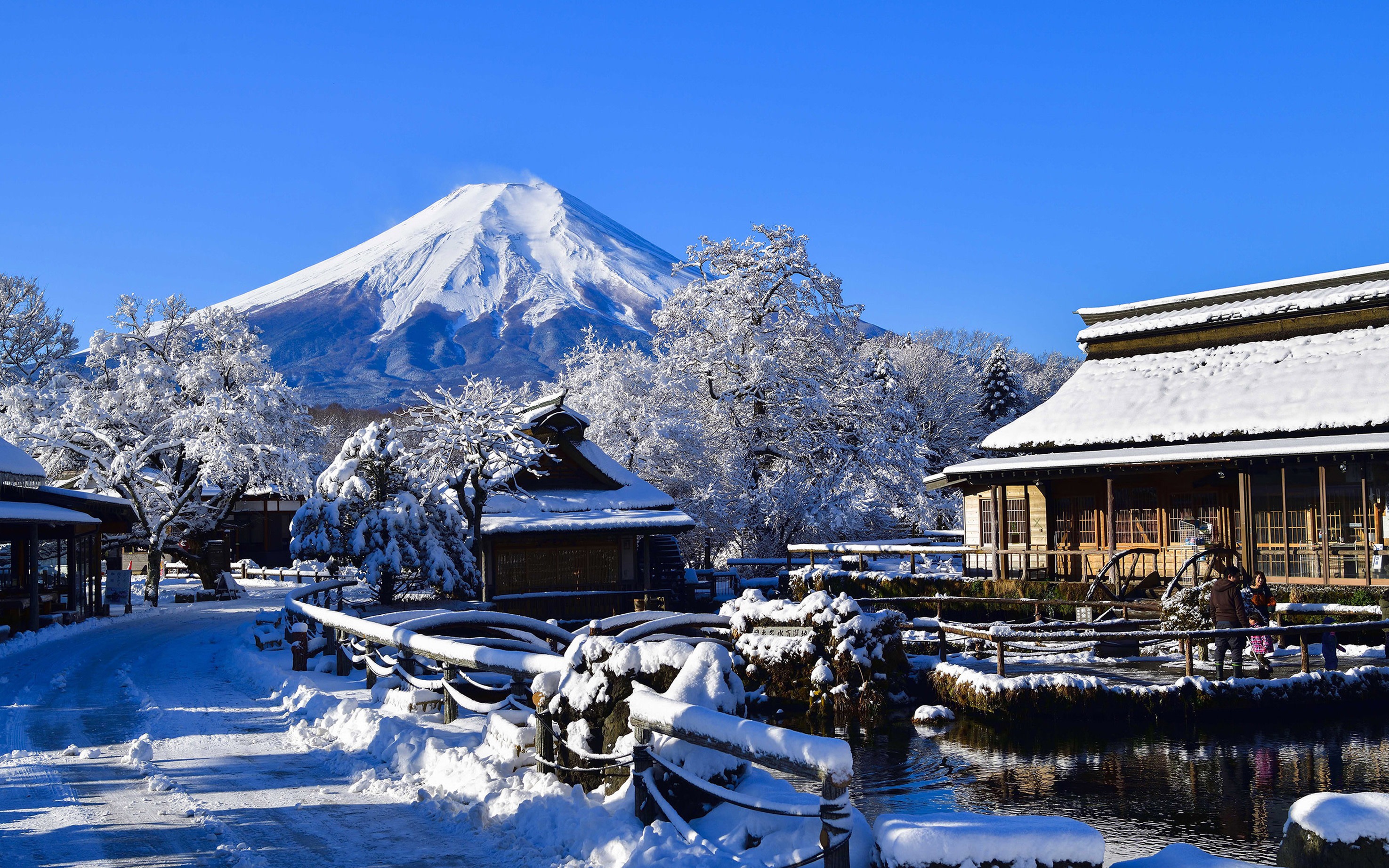 [Mount Fuji Popular Spots Day Tour] Arakurayama Sengen Park & Lake Kawaguchi Oishi Park & Oshino Hakkai & Lawson & Hikawa Clock Shop (Departure from Tokyo)