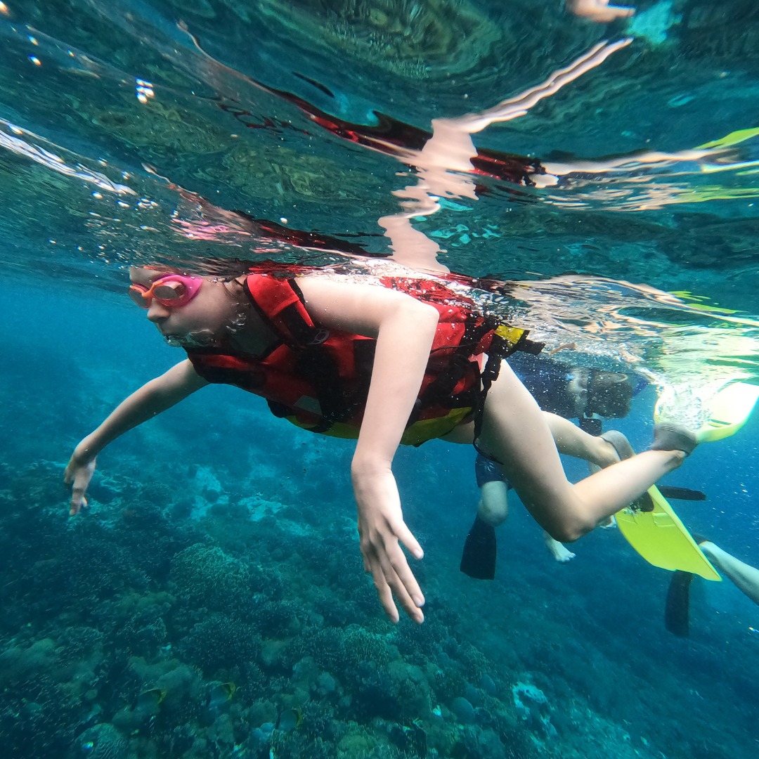 沙努爾 (Sanur) 海岸浮潛體驗