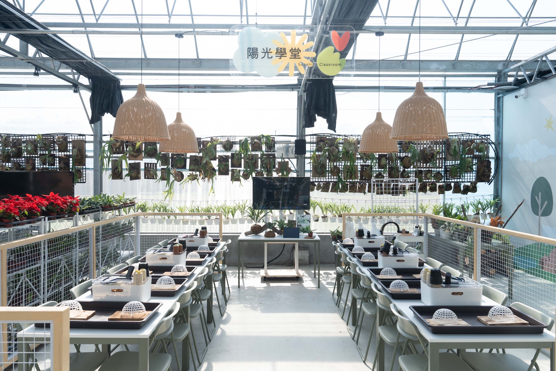 陽光學堂手作鹿角蕨課程 陽光學堂手作鹿角蕨課程