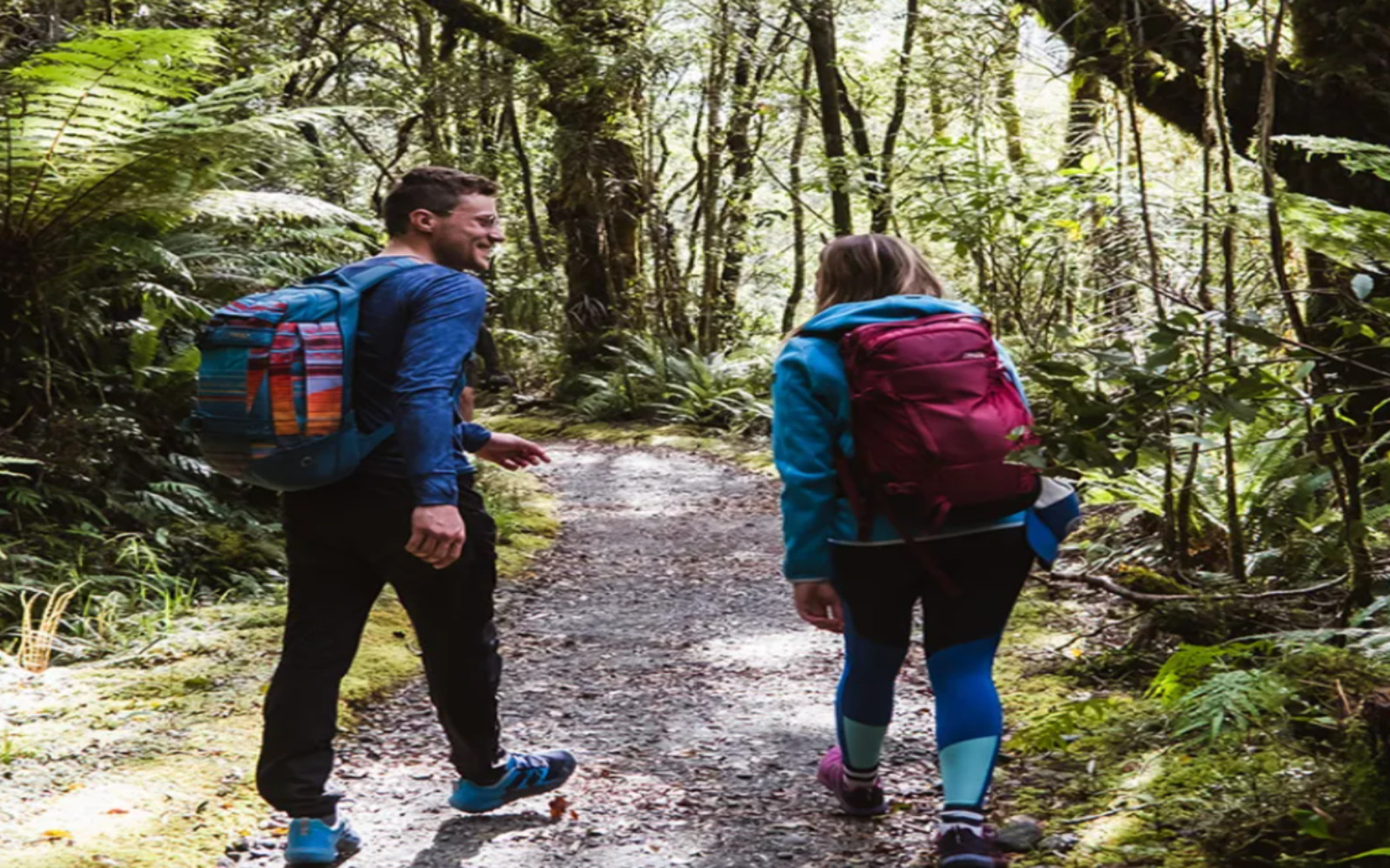 沿著世界聞名的米爾福德步道，在鬱鬱蔥蔥的雨林環繞下，享受寧靜的自助徒步之旅。