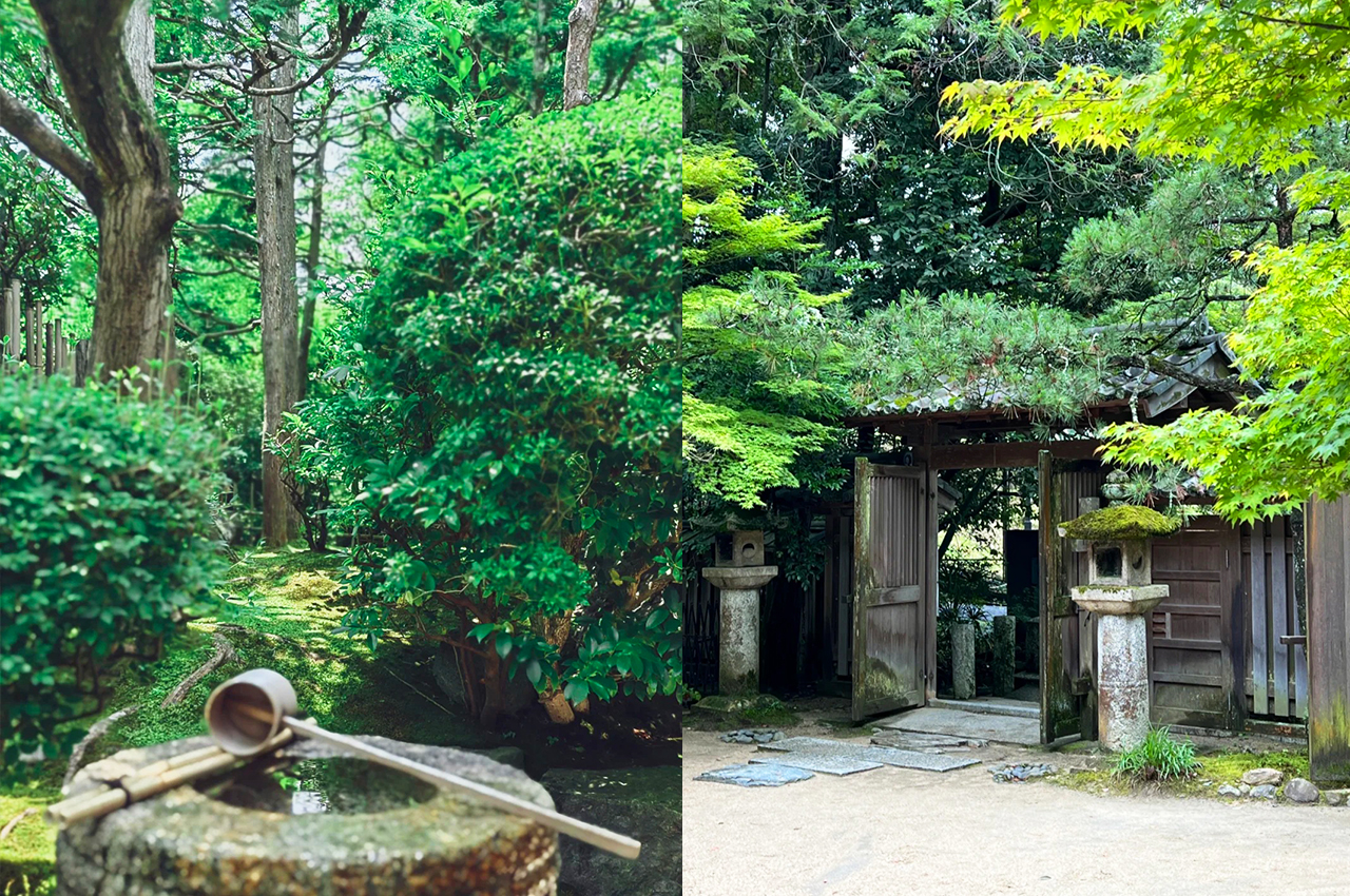 【奈良宇治一日遊】平等院・源氏物語博物館・宇治天然溫泉源氏之湯 ・奈良公園・東大寺・春日大社 | 4-9人小團（可選大阪或京都出發）
