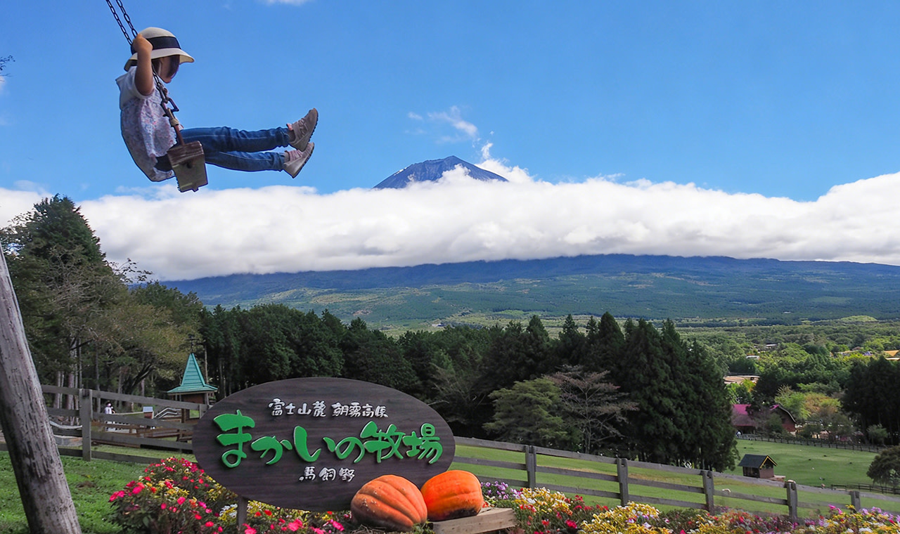 Популярные живописные места горы Фудзи, ферма Макайно, озеро Тануки и парк Аракураямa Сенгэн в однодневной поездке