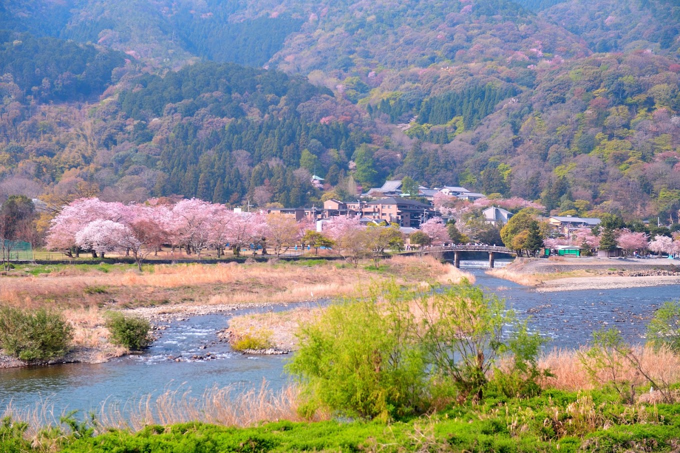 京都嵐山美景文化探秘及奈良萌鹿趣味體驗一日遊