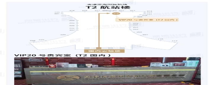 VIP Lounge 20 (T2 Domestic Departures)