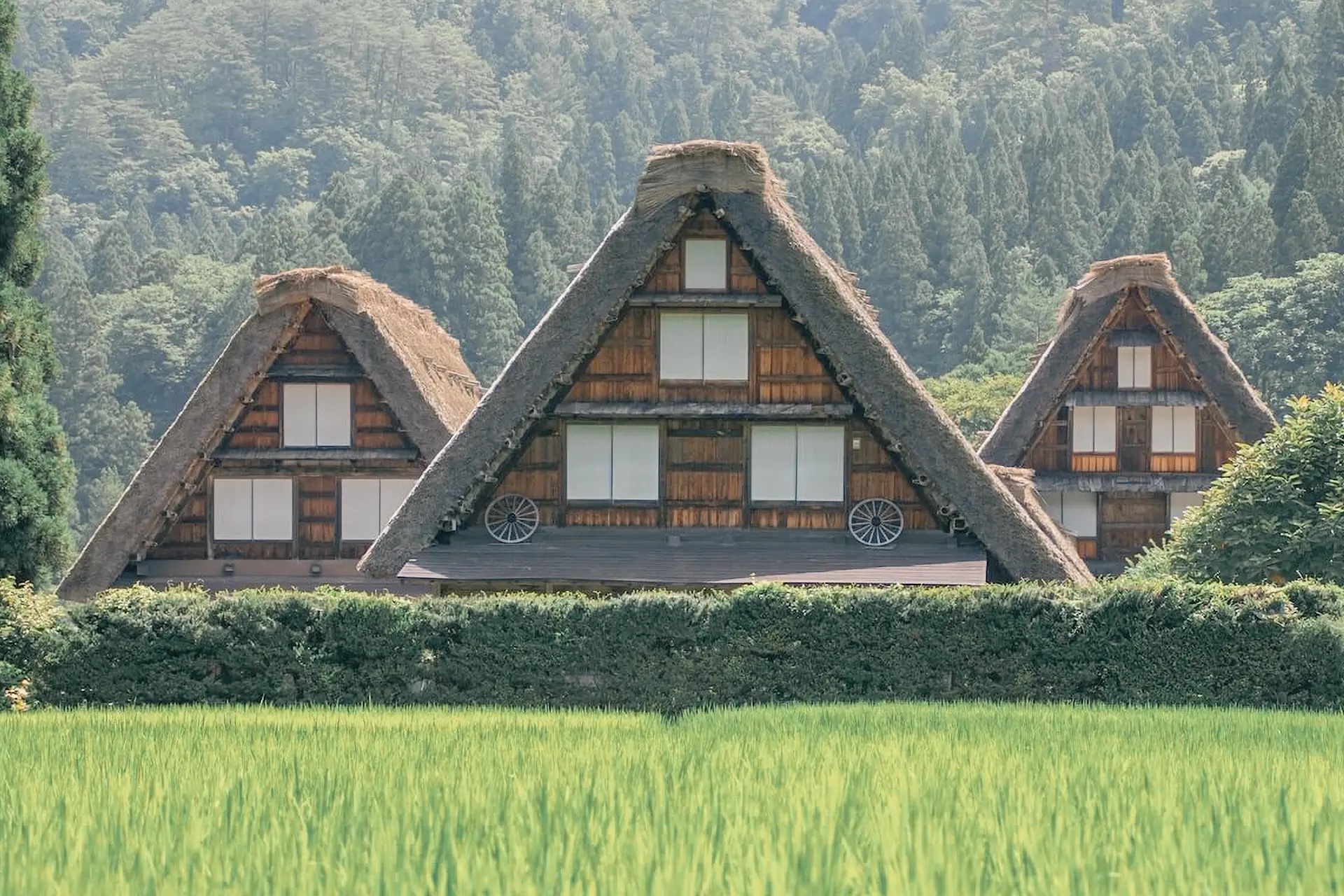 Private Guided Tour of Takayama & Shirakawago 