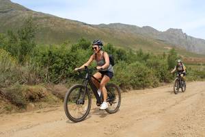 Vineyard & Mountain E-Bike Tour