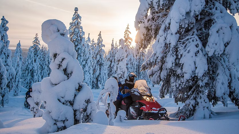 Embrace the ultimate winter experience while cruising through untouched snow-covered forests